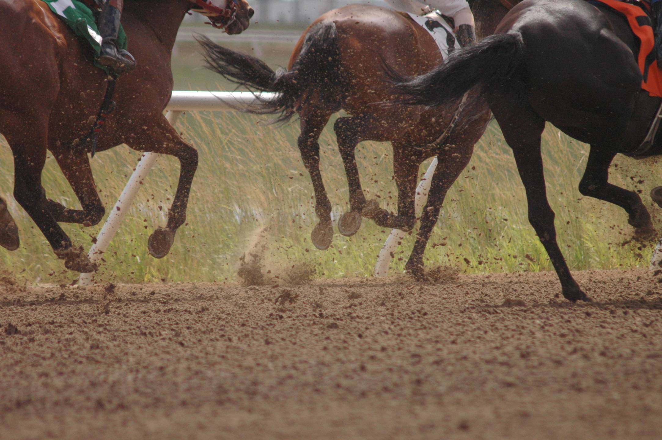 Horses heading into the turn